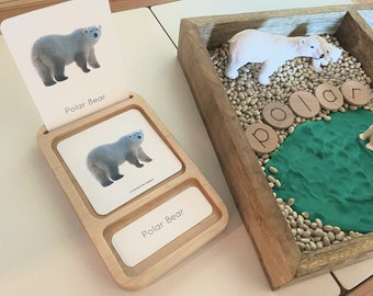 Nomenclature inspirée de Montessori 3 cartes debout plateau de cartes en bois d'érable éducatif leçon d'école à domicile fournitures d'activité support de cycle de vie jouet