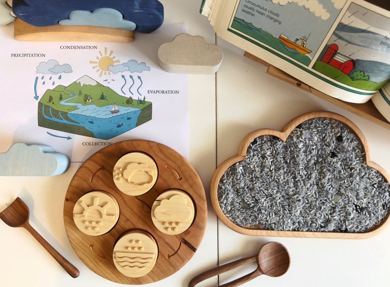 WATER CYCLE double sided play dough stamps maple wood 4 part homeschool lesson activity weather Montessori learning wooden toy lifecycle image 4