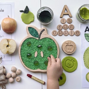 APPLE maple wood tinker sensory sorting TRAY homeschool lesson play board plate spring toy Montessori seed nature fruit lifecycle fall
