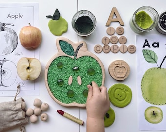 APPLE Ahorn Holz basteln sensorisch sortieren TABLETT homeschool Unterricht Spielbrett Teller Frühling Spielzeug Montessori Samen Natur Obst Lebenszyklus Herbst