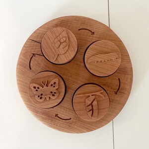 Peut inclure: Cercle en bois avec quatre pi&egrave;ces rondes qui s'embo&icirc;tent. Chaque pi&egrave;ce a une image diff&eacute;rente grav&eacute;e dessus : une feuille, une chenille, un papillon et une chrysalide.