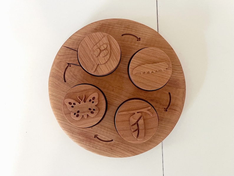 Peut inclure: Cercle en bois avec quatre pi&egrave;ces rondes qui s'embo&icirc;tent. Chaque pi&egrave;ce a une image diff&eacute;rente grav&eacute;e dessus : une feuille, une chenille, un papillon et une chrysalide.