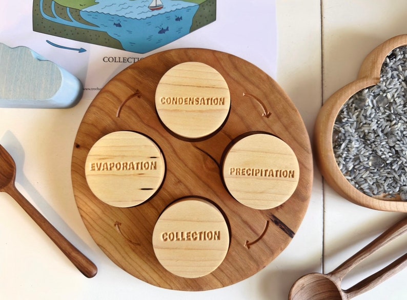 WATER CYCLE double sided play dough stamps maple wood 4 part homeschool lesson activity weather Montessori learning wooden toy lifecycle image 2
