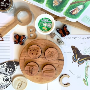 Peut inclure: Un jouet &eacute;ducatif en bois sur le cycle de vie d'un papillon avec quatre &eacute;tapes&nbsp;: &oelig;uf, chenille, chrysalide et papillon. Le jouet est sur une surface blanche avec d'autres articles sur le th&egrave;me du papillon, notamment une loupe, des papillons en feutre et un pot de chenilles.