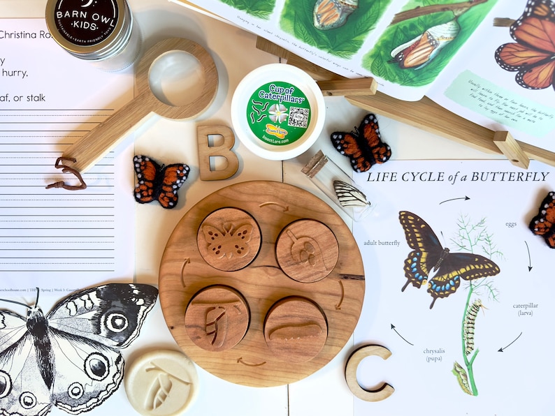 Peut inclure: Un jouet &eacute;ducatif en bois sur le cycle de vie d'un papillon avec quatre &eacute;tapes&nbsp;: &oelig;uf, chenille, chrysalide et papillon. Le jouet est sur une surface blanche avec d'autres articles sur le th&egrave;me du papillon, notamment une loupe, des papillons en feutre et un pot de chenilles.
