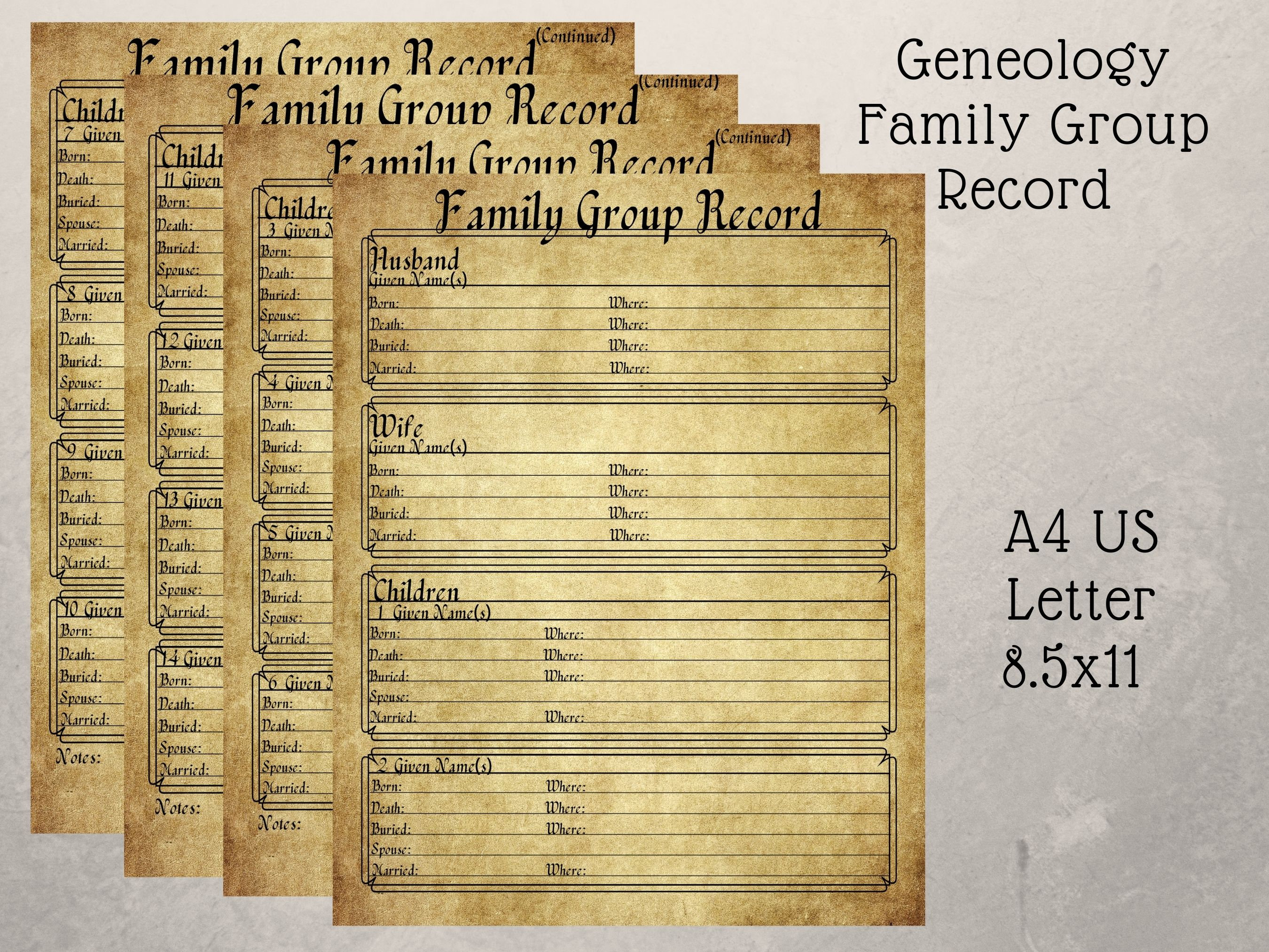 11x11 Not-So-Mini Scrapbook Album FAMILY GENEALOGY (based on my