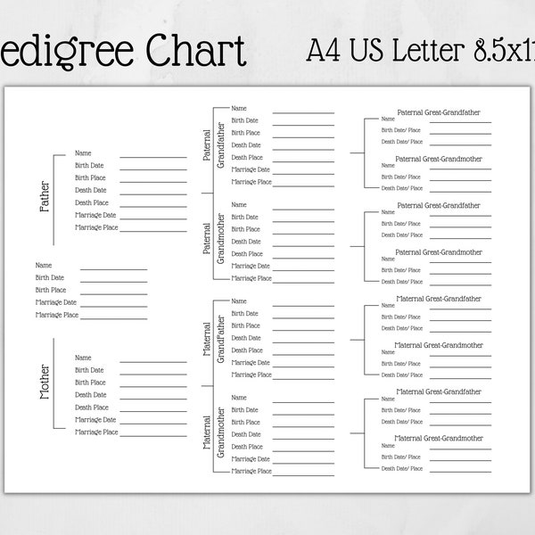 Pedigree Chart - Printable Stationery - Keep Your Ancestors Organized