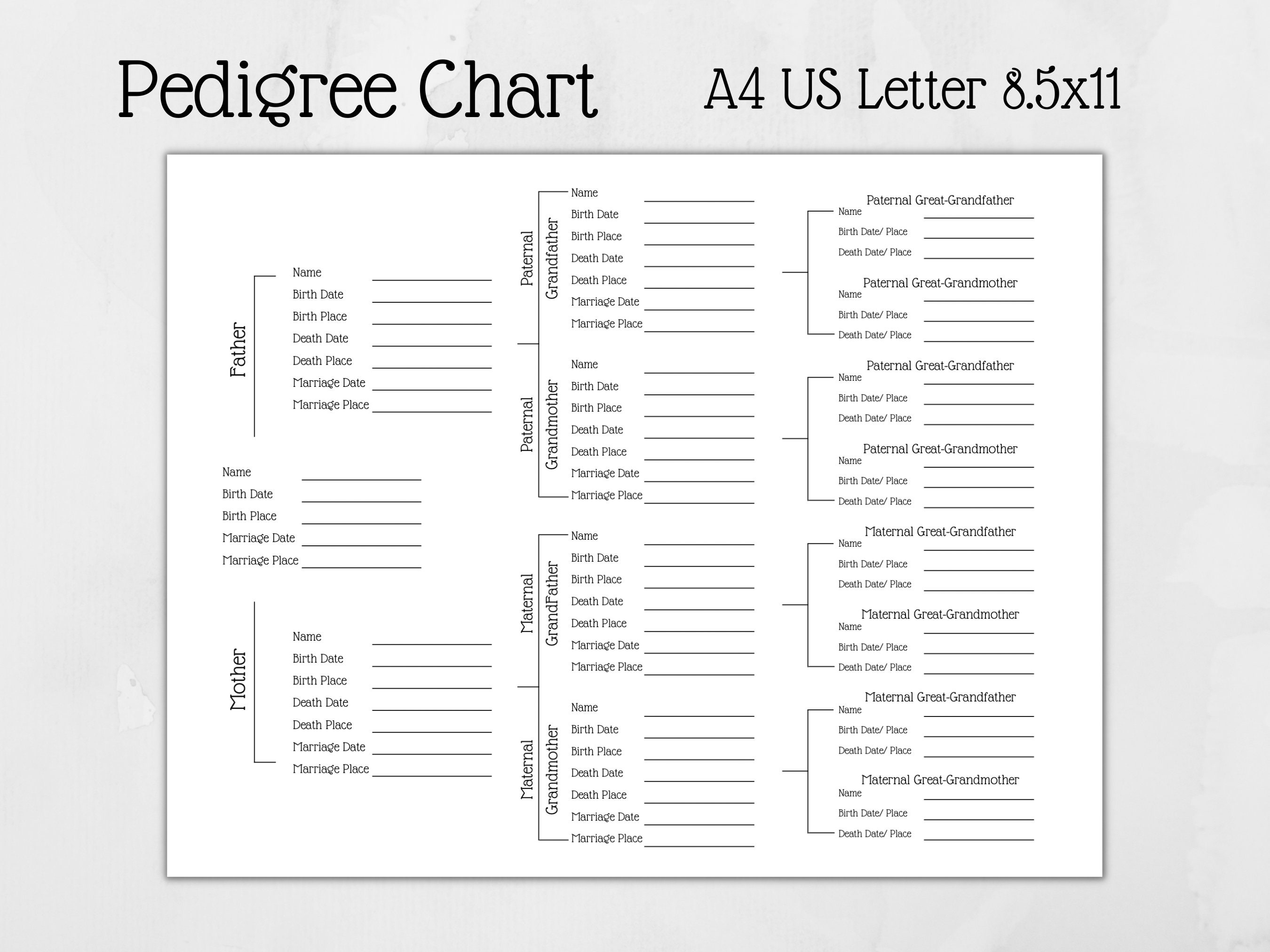 Pedigree Chart Printable Stationery Keep Your Ancestors Organized Etsy