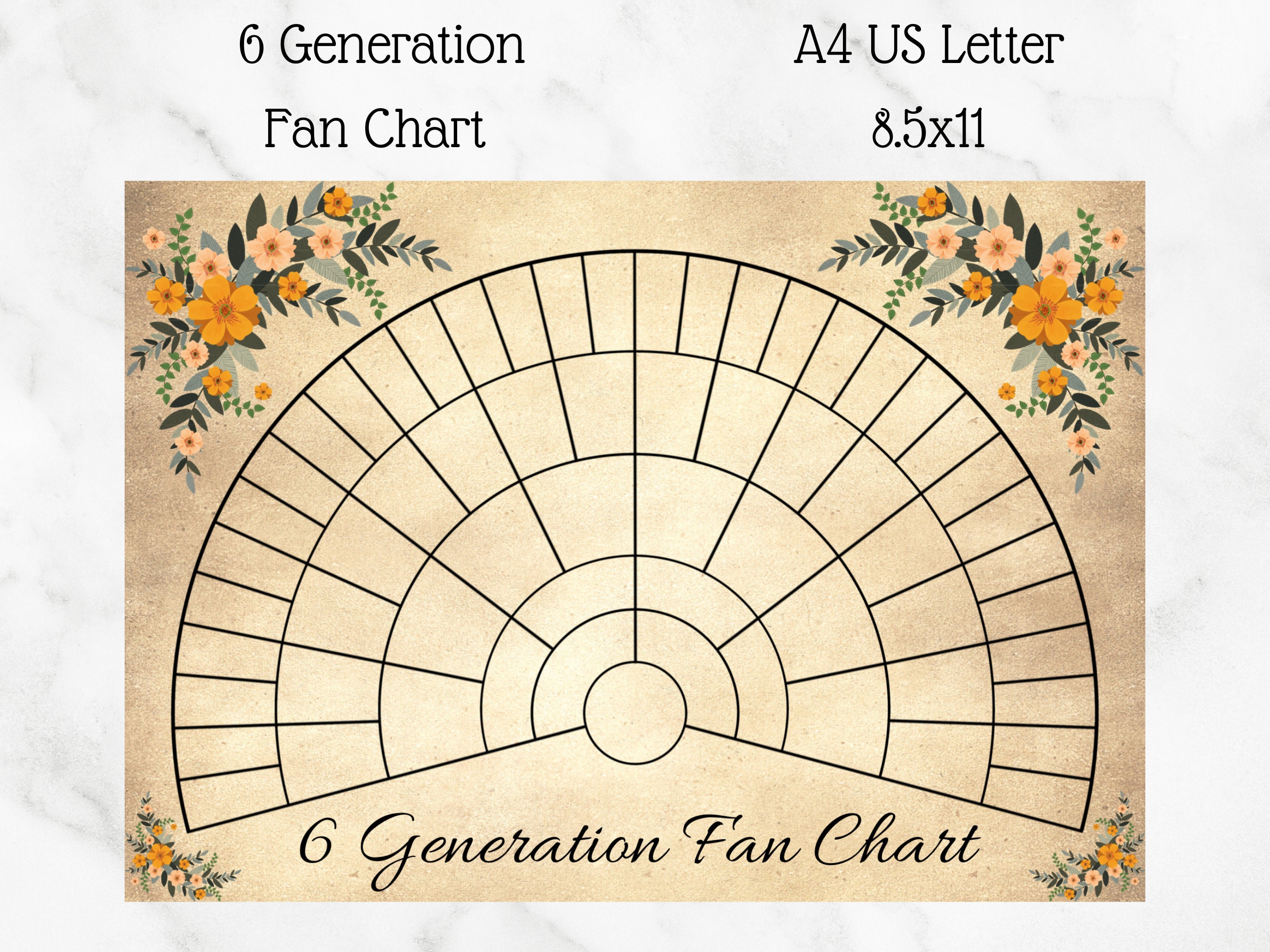 Printable 6 Generation Fan Chart Printable Stationery Keep - Etsy