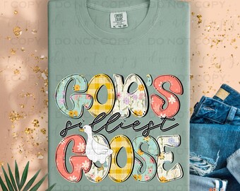 God's Silliest Goose | DTF Transfer | Direct to film transfer | Ready to press | Faith Transfer