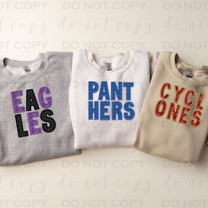 May include: Three sweatshirts with different team names printed on them. The first sweatshirt is gray with purple and black lettering that says "EAGLES". The second sweatshirt is white with blue lettering that says "PANTHERS". The third sweatshirt is beige with red lettering that says "CYCLONES".