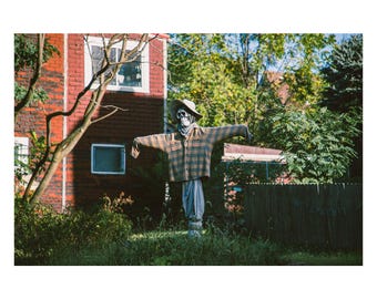 image.sheets - 2024 (5_8x10 H_2024-585) Spooky Scarecrow