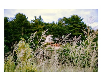 image.sheets - 2019 (H089) A Beach Cabin through the Lake Michigan Heather
