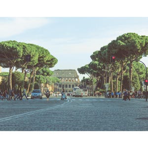 May include: A street scene in Rome, Italy, featuring the Colosseum in the background. The image shows a wide avenue with traffic, pedestrians, and large green trees lining the sides. The sky is clear and blue.