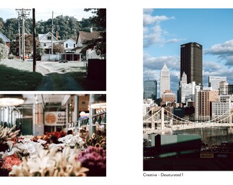 May include: A split image featuring a rural street scene with houses and a city skyline. The city image shows a bridge, skyscrapers, and a cloudy blue sky. The bottom image shows a flower market with various colorful blooms.