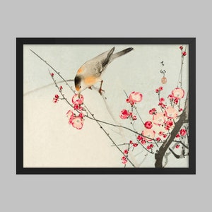 Songbird on blossom branch (1900 - 1936) by Ohara Koson (1877-1945). (Print) Japanese Art
