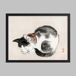 Sleeping cat by Kono Bairei (1844-1895). Japanese Art (Print)
