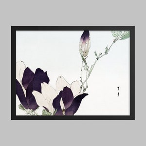 Purple Magnolia illustration from Bijutsu Sekai (1893-1896) by Watanabe Seitei. Japanese Art (Print)