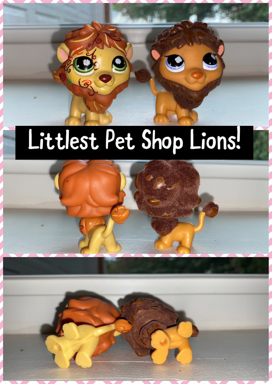 Authentic Rare Littlest Pet Shop LION Edition imperfect Etsy