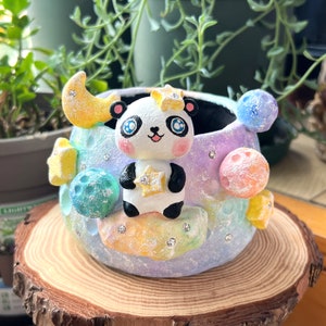 Handmade and hand painted succulent planter pot with Cute panda and mysterious cosmic colorful planet shape