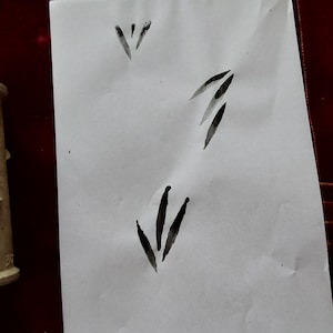 May include: A white sheet of paper with three sets of black ink brush strokes. The strokes are in a downward direction, with the top set of strokes being the smallest and the bottom set being the largest.