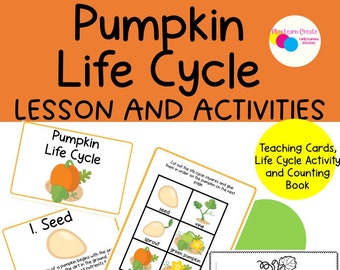 Pumpkin Life Cycle Lesson, Pumpkin Lesson, Pumpkin Activities, Pumpkin Preschool Activities