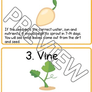 Pumpkin Life Cycle Lesson, Pumpkin Lesson, Pumpkin Activities, Pumpkin ...