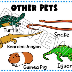 Pet Care Dramatic Play, Pet Store Pretend Play, Pet Adoption Play ...