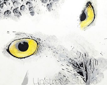 Snowy Owl - Fine Art - Hedwig