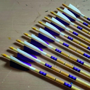 Special Painted Wooden Arrow - 12 Pieces - Self Nock - Traditional Archery