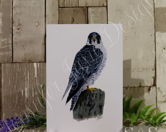 Peregrine Falcon - Falconry - Wildlife - British Birds - Birds of Prey - Birthday Card - Any Occasion Card - Personalised Greetings Card