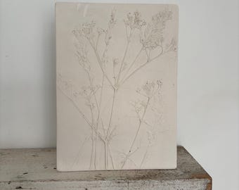 Botanical cast of cow parsley & grasses