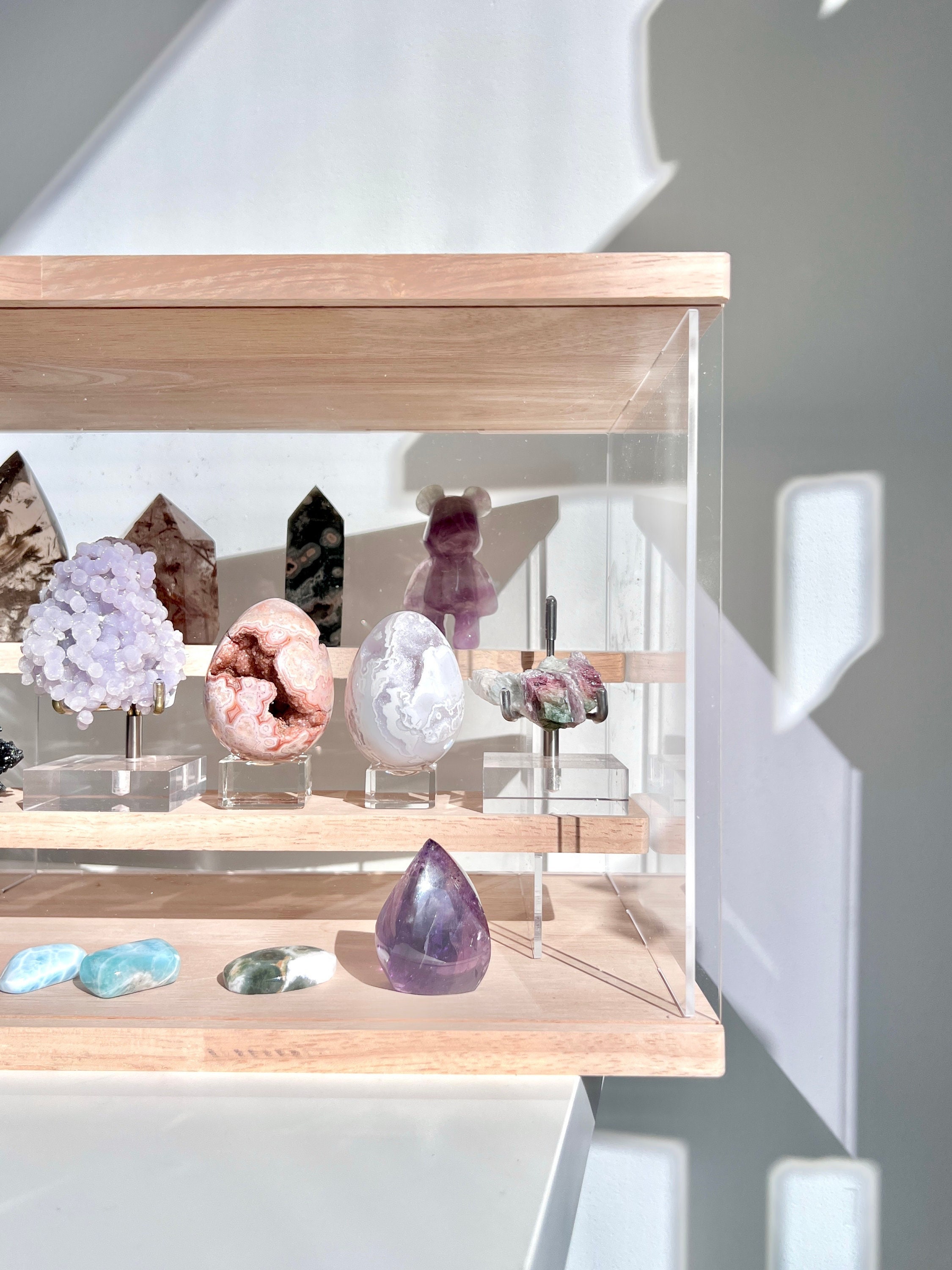 Rock Collection Display Case Acrylic Glass Curio 9-1/2