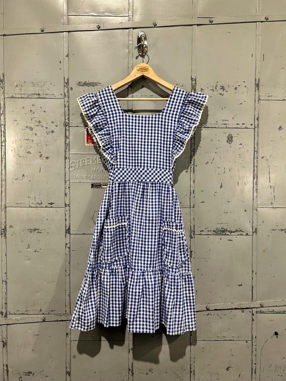 blue gingham apron dress Vintage 70s Womens Sleeveless and White Style Mini Wizard of Oz Dorthy Inspired Size Small/Medium S-M clara VERA WANG Size 8 Size:Red - Ladies Small Set Include