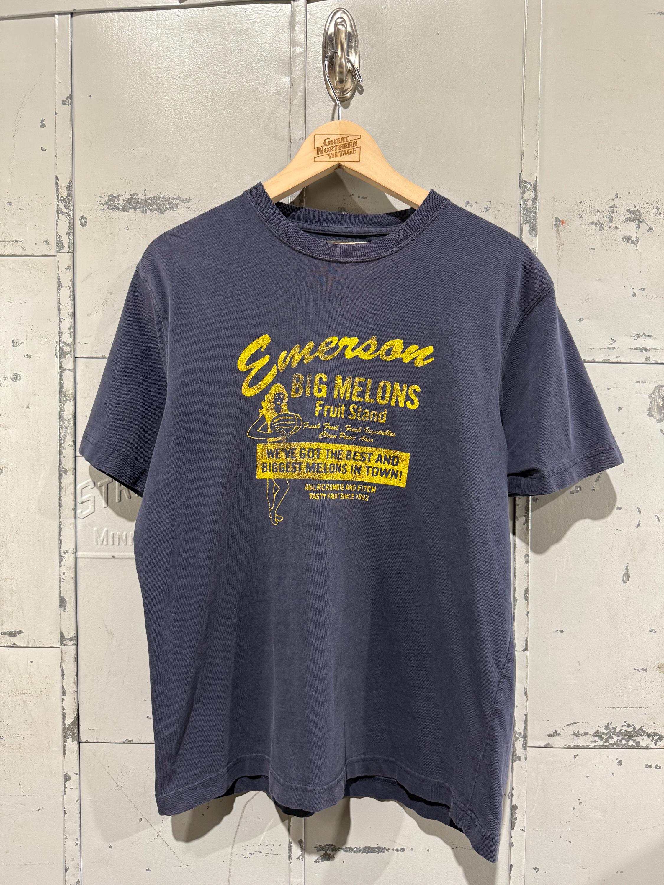 Vintage Y2K Abercrombie & Fitch Long Melons Tshirt Heavyweight