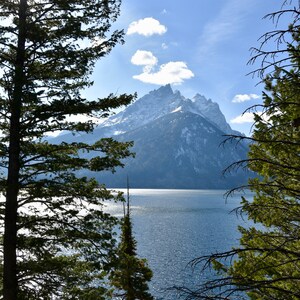 Jenny Lake