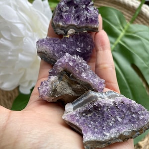 Beautiful Amethyst Crystal Cluster - Raw Quartz Geode for February Birthday