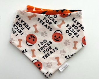 May include: White dog bandana with orange and black pumpkins and bone print. The bandana has the text "I do tricks for treats" repeated on it. The bandana has a small white tag with the text "kiomi paws" on it.