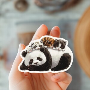 Schattige slaperige pandabeer en kittens sticker-dier sticker-kattenliefhebber sticker-kat moeder-zelfzorg sticker-dieren in het wild sticker-dierenliefhebber sticker