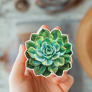 Adesivo de planta suculenta - Adesivo de planta doméstica - Adesivo de jardineiro - Adesivo de mãe e pai de planta - Presente para amantes de plantas - Adesivo de cacto - Vida vegetal