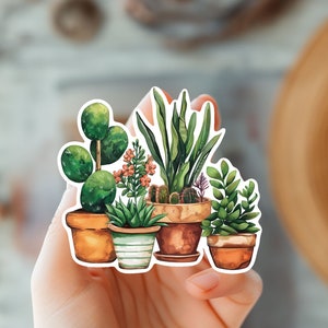 Pegatina de acuarela con suculentas en macetas: regalo para amantes de las plantas, mamá de plantas, plantas de interior y exterior