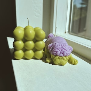 Multi Colored Pug & Bubble Candles Matching Set