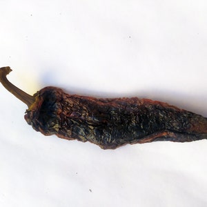 Chile pasilla from Oaxaca/Chile pasilla from Oaxaca