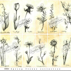 Frühlingsblumen-Kollektion