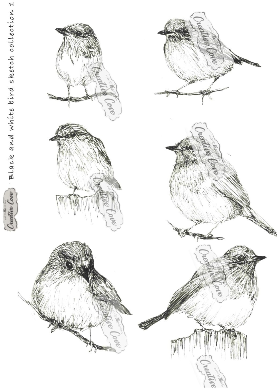 Black and White Bird Sketch Collection 1 - Etsy