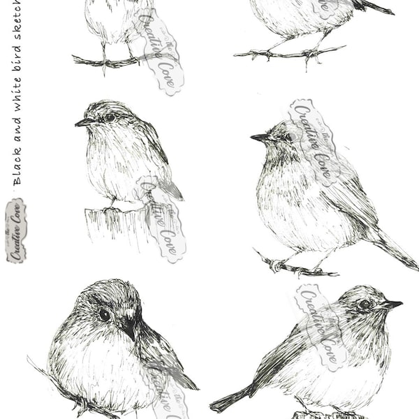 Black and white bird sketch collection 1
