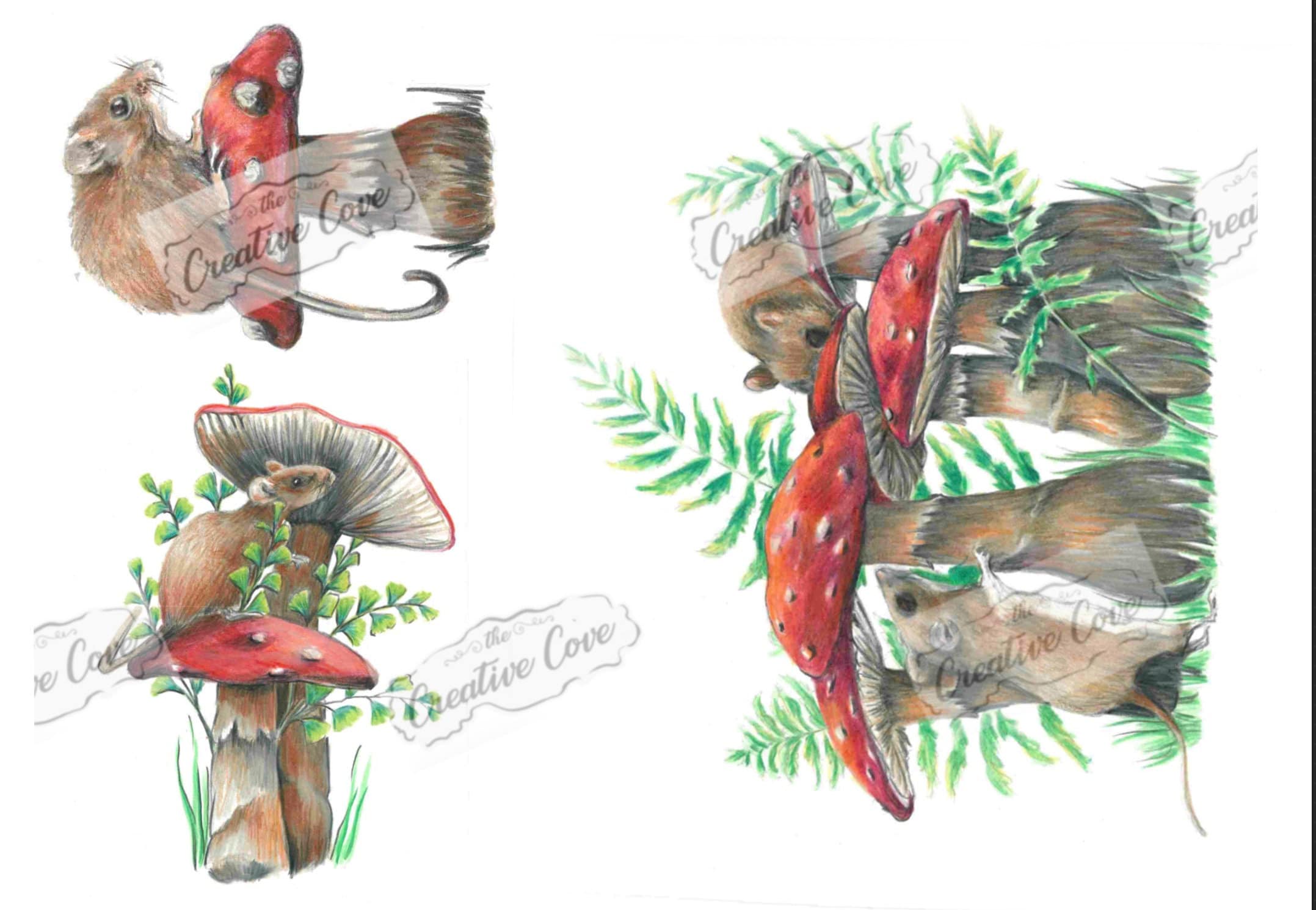 Mice and Mushrooms Etsy