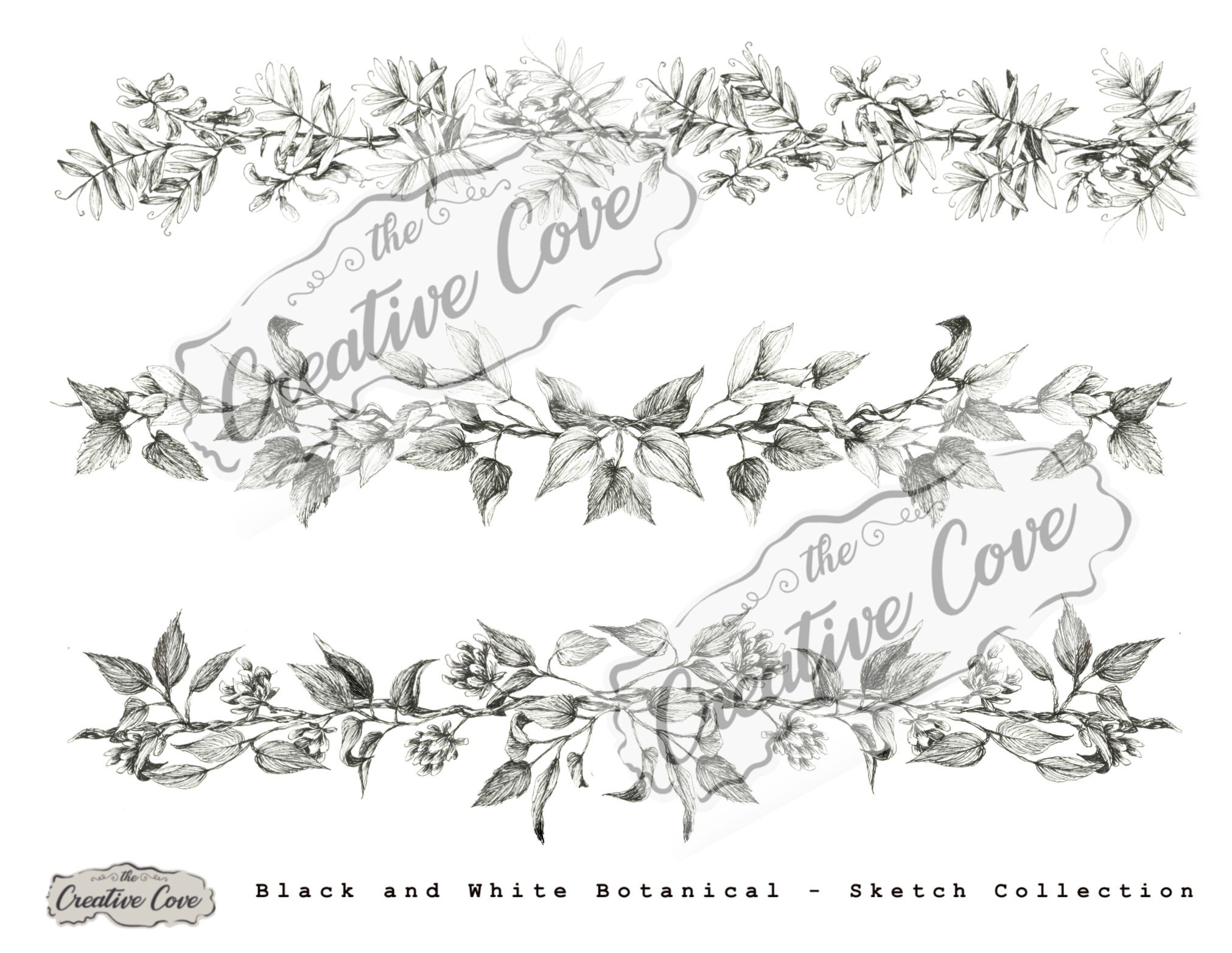 Black and White Botanical - Sketch Collection - Etsy