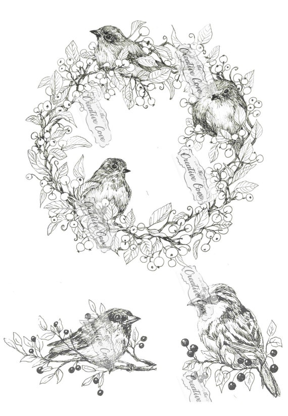 Black and White Bird Sketch Collection 1 - Etsy