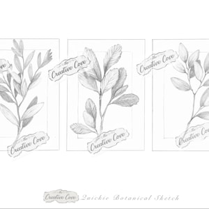 Croquis botaniques délicats